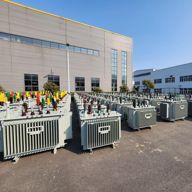 Oil-immersed distribution transformers